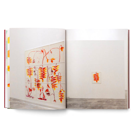 I Am Soil. My Tears Are Water. | María Magdalena Campos-Pons