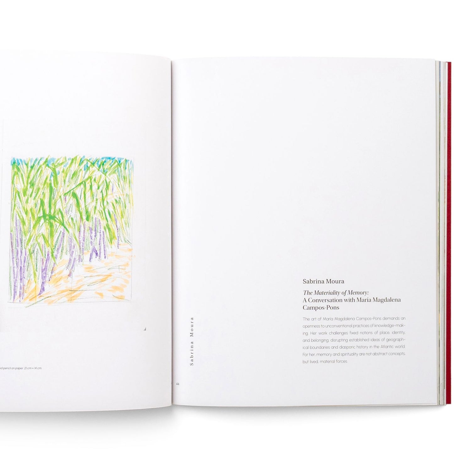 I Am Soil. My Tears Are Water. | María Magdalena Campos-Pons