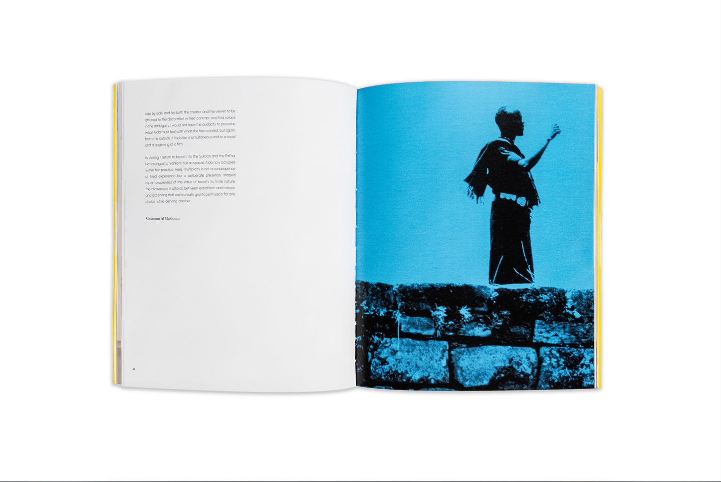 This Bloom I Borrow | Aïda Muluneh