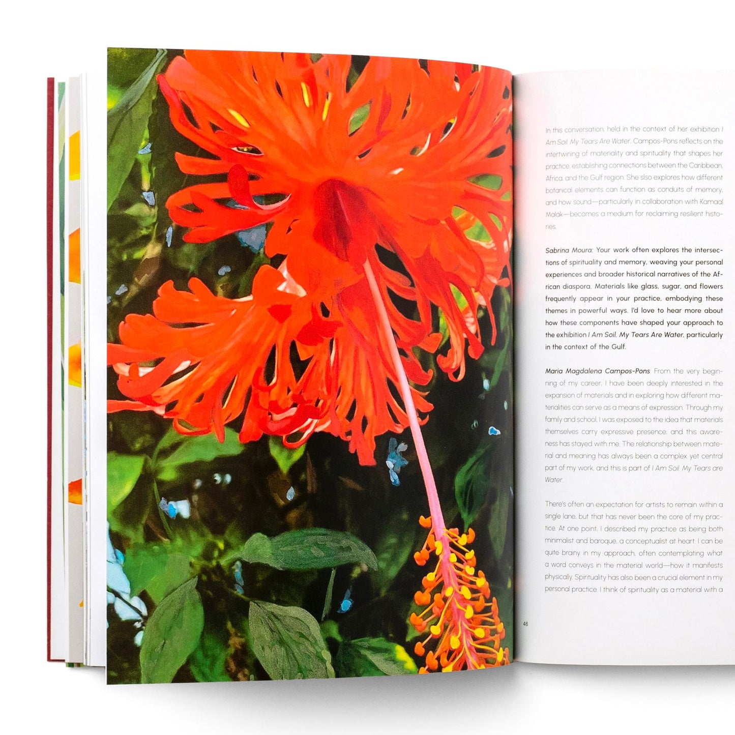 I Am Soil. My Tears Are Water. | María Magdalena Campos-Pons