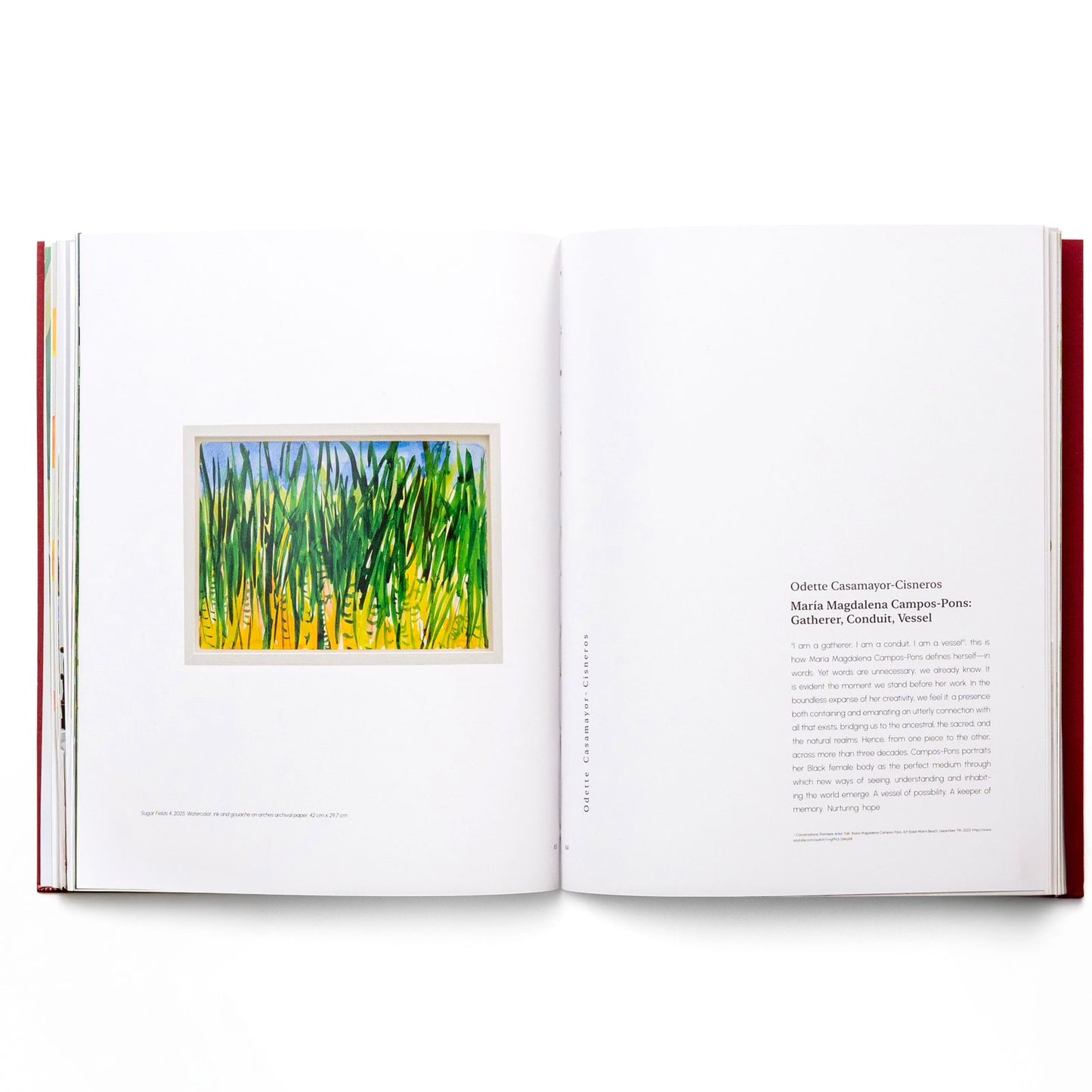 I Am Soil. My Tears Are Water. | María Magdalena Campos-Pons